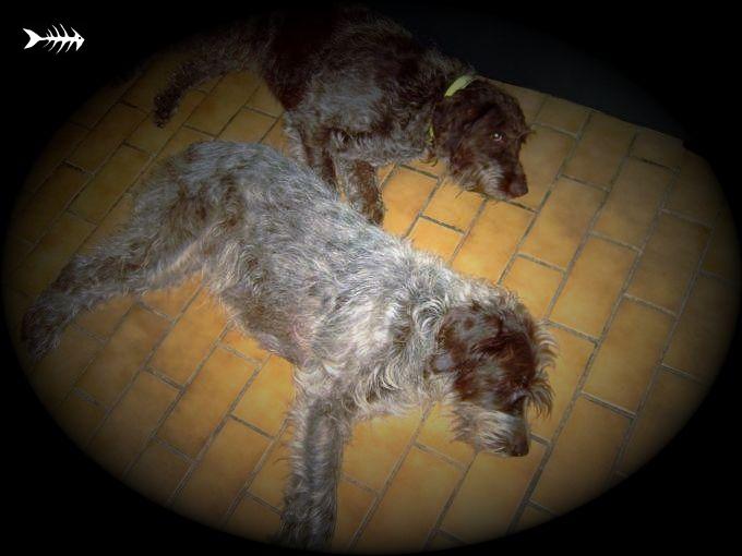 aika et gena.JPG